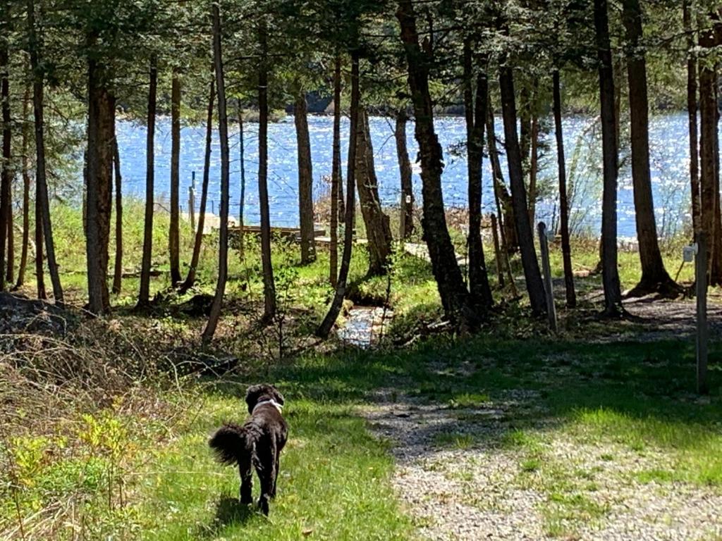 Moose Pond Escape, Bridgton (updated prices 2024)