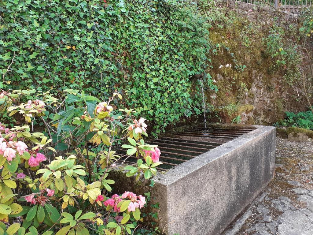 Photo from Moulin Chantepierre in Pont-dʼHéry, Franche-Comté, France