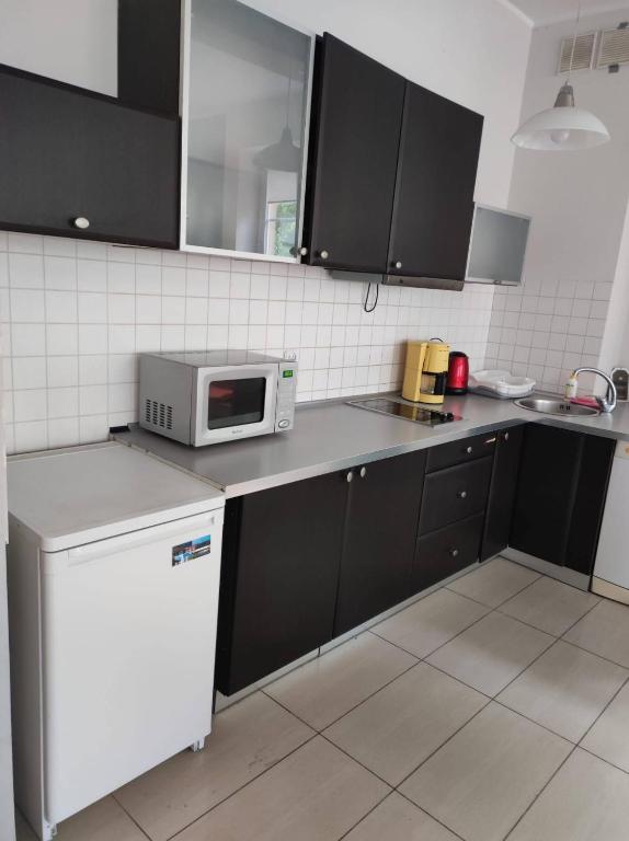 Kuchyňa alebo kuchynka v ubytovaní Apartament przy Fontannie Neptuna