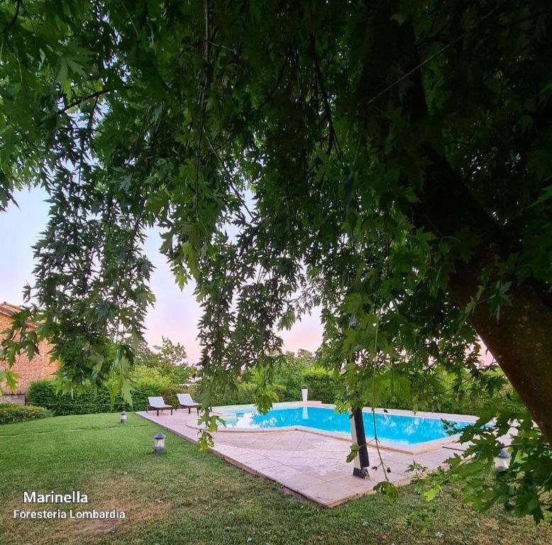 Bazén v ubytování Marinella B&B nebo v jeho okolí