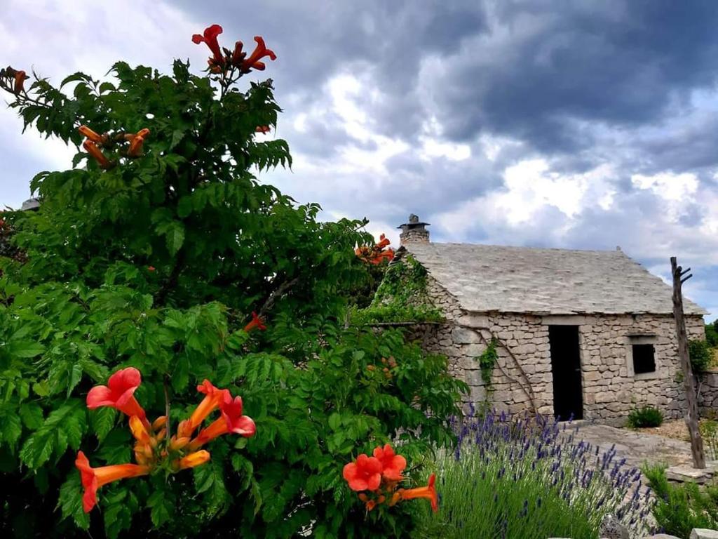 an old stone house with flowers in front of it at Country House Hacienda in Selca
