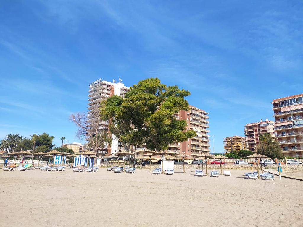 a beach with chairs and a tree and buildings at BALI APARTMENT in Benicàssim