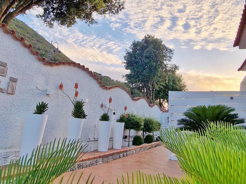 Una pared blanca con jarrones blancos con plantas. en Il Gioiello del Circeo, en San Felice Circeo