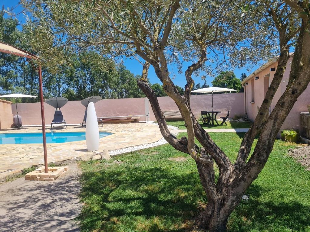 drzewo w ogrodzie obok basenu w obiekcie Tylyan w mieście Le Thor