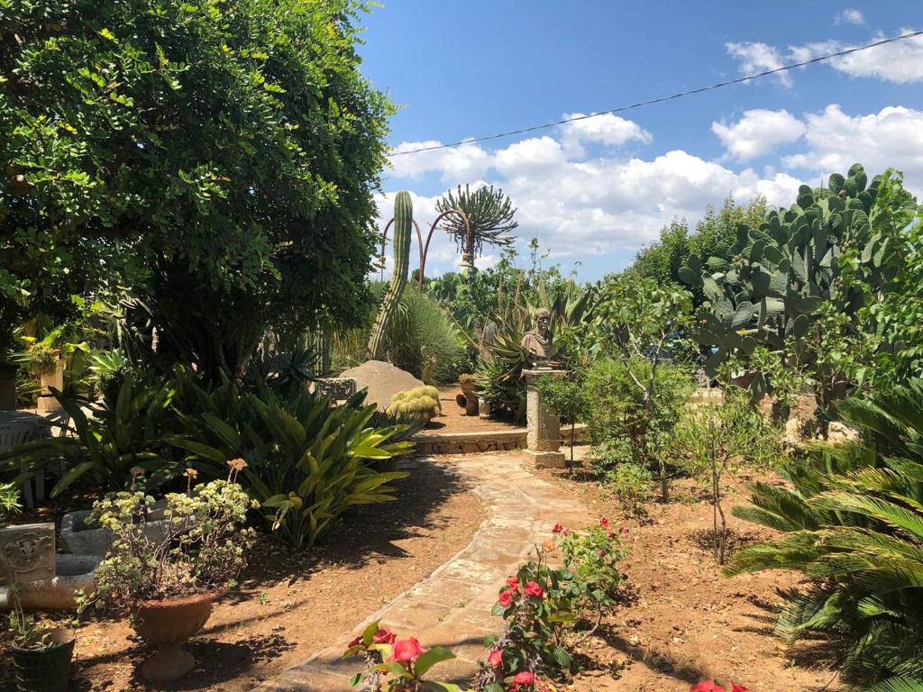 Zahrada ubytování Villa Yucca