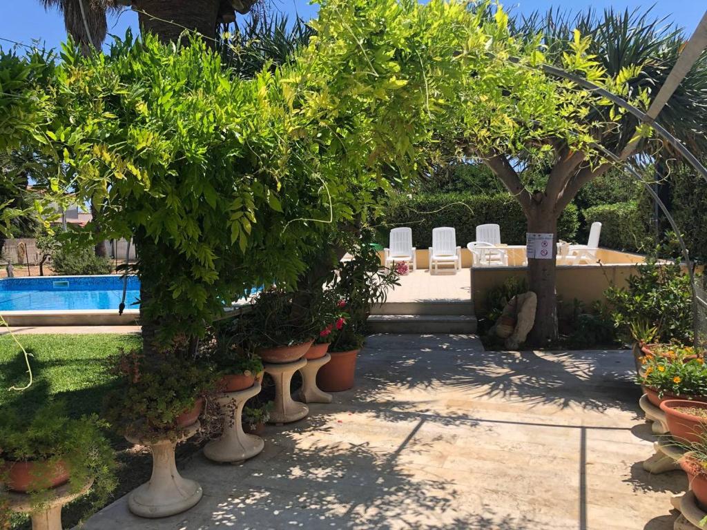 Zahrada ubytování Villa Yucca