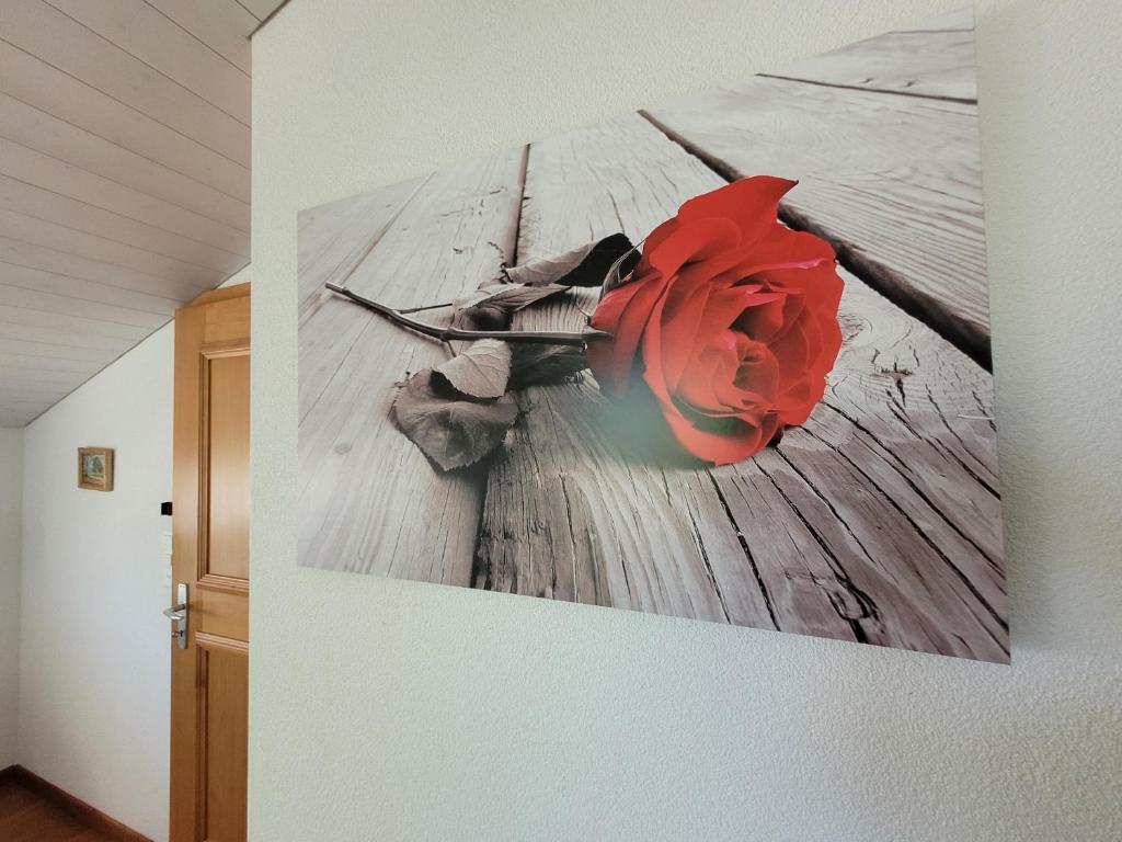 Fotografie z fotogalerie ubytování Ferienwohnung Bally v destinaci Brunnen