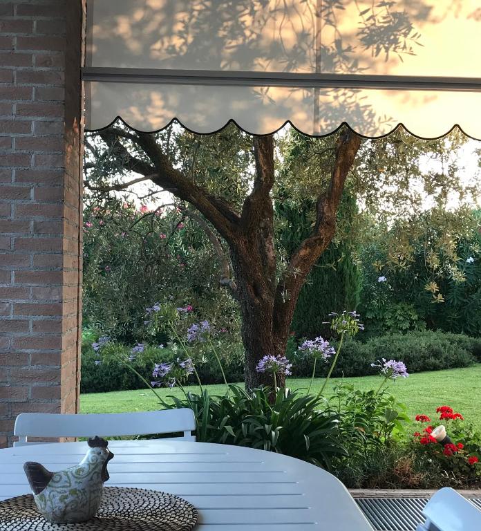 Zahrada ubytování Villa Archi B&B