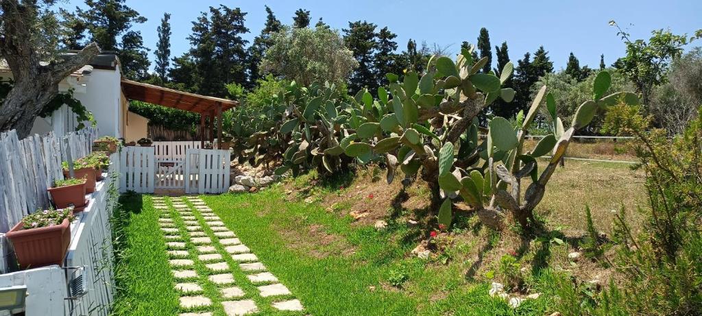 Agriturismo Massaro Pietro - 17