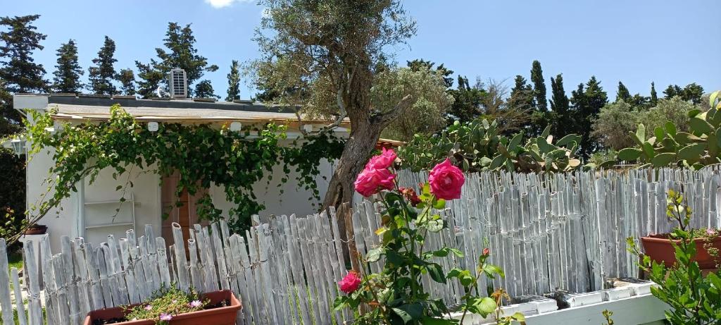 Agriturismo Massaro Pietro - 16