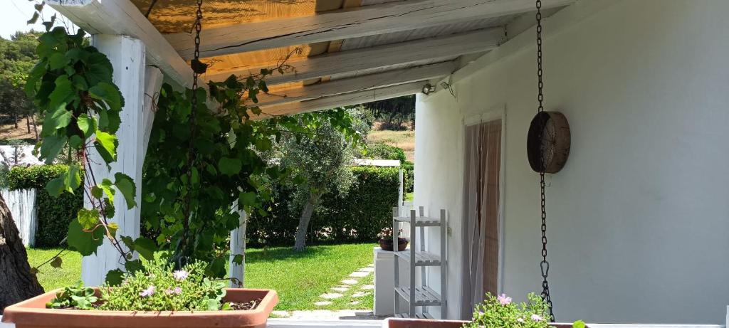 Agriturismo Massaro Pietro - 14