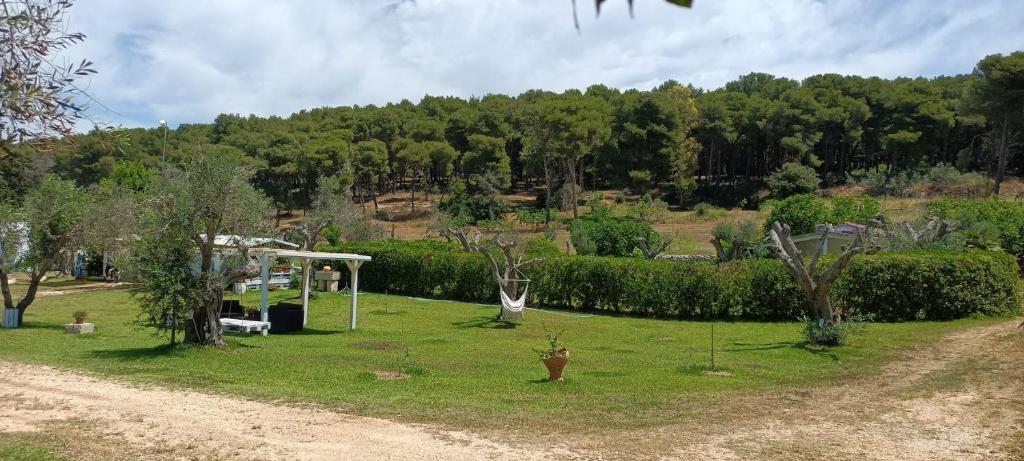 Agriturismo Massaro Pietro - 12