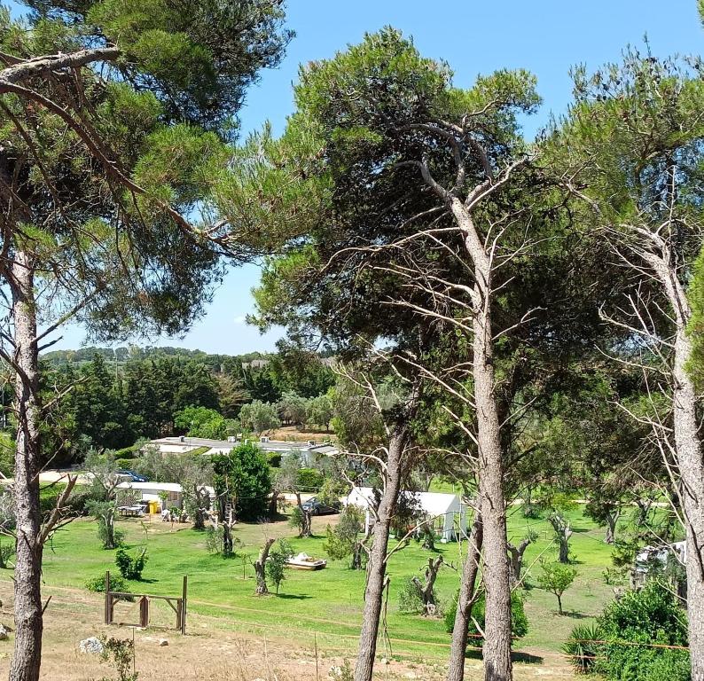 Agriturismo Massaro Pietro - 11