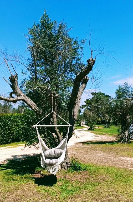 Agriturismo Massaro Pietro - 10