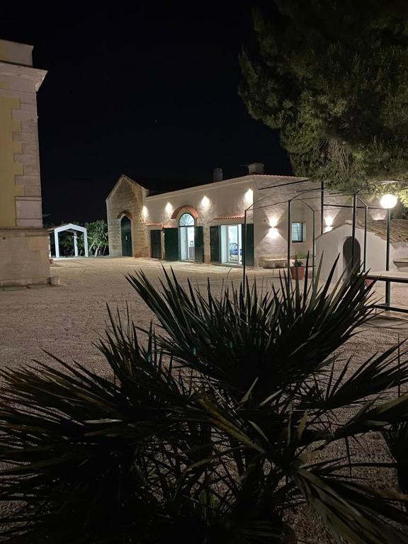 a building at night with a palm tree in front of it at Casale Montereale in Corato