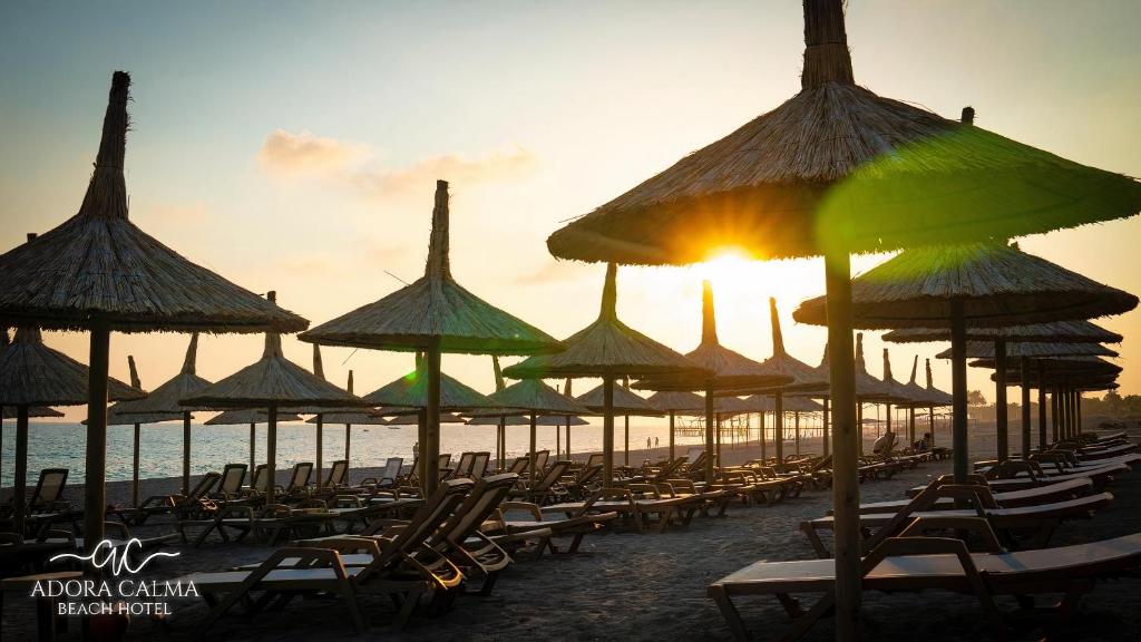 a group of chairs and umbrellas on a beach at Adora Calma Beach Hotel Adults Only in Kızılot