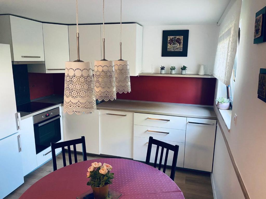 Kuchyň nebo kuchyňský kout v ubytování Apartma KAMNITNK
