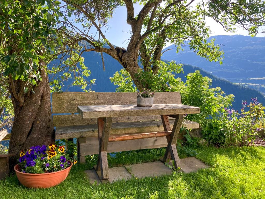 a wooden bench sitting under a tree with flowers at Berghaus Egg in Jerzens