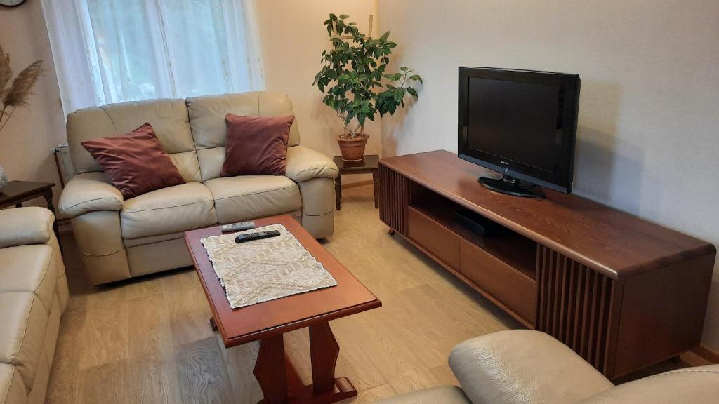 TV a/nebo společenská místnost v ubytování Apartment Home Popovic