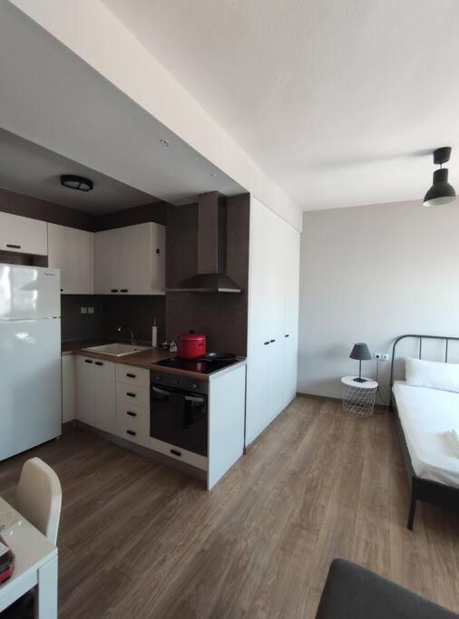 eine Küche mit einem Kochfeld im Zimmer in der Unterkunft Antelope Studio 1 in Thessaloniki