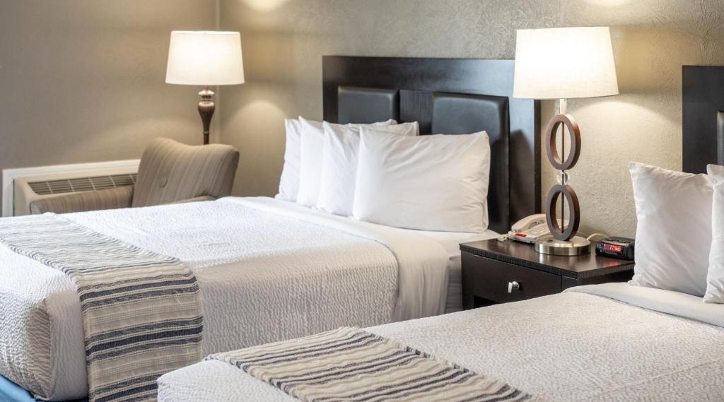 THE BRANSINN Entertainment District - 