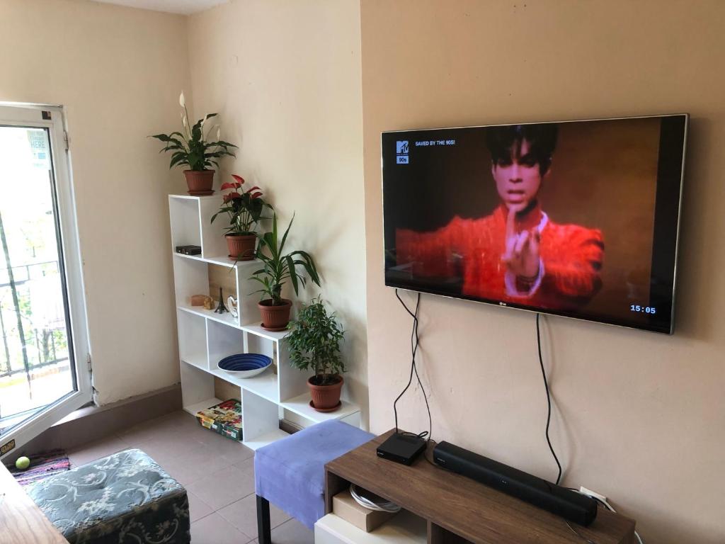 TV a/nebo společenská místnost v ubytování Hakuna Matata Guest House