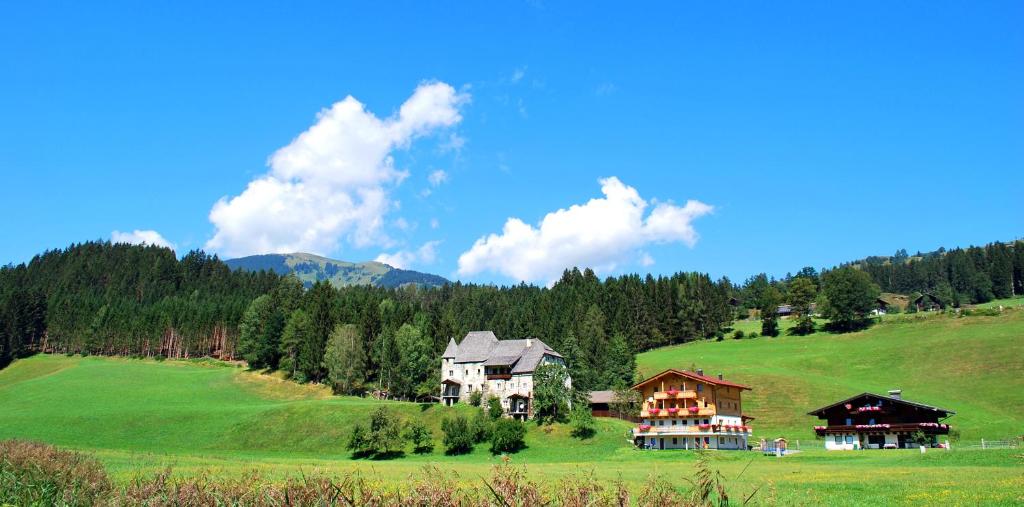 una casa en una colina en un campo verde en Appartement Einödberg, en Mittersill