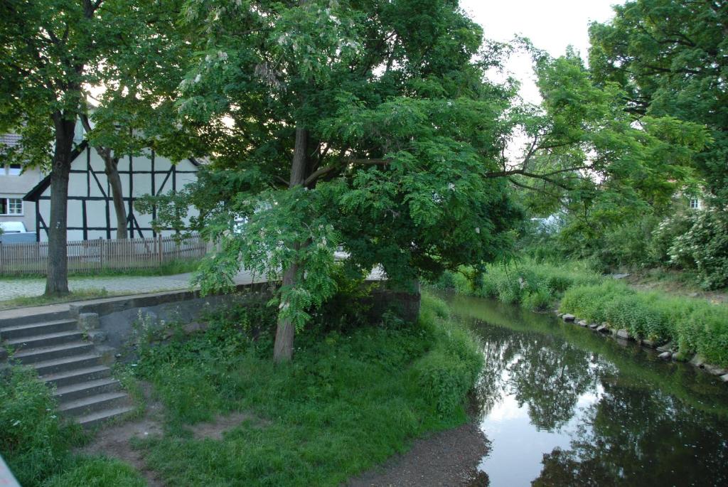 drzewo i schody obok rzeki w obiekcie Wohnen im Fachwerkhof w mieście Kassel