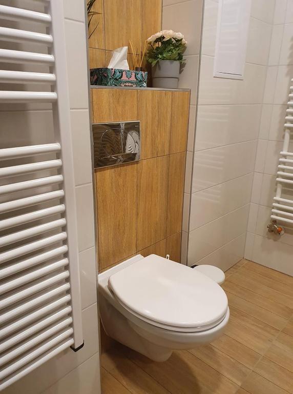 Kúpeľňa v ubytovaní Dévai-LUX Apartman Sárvár