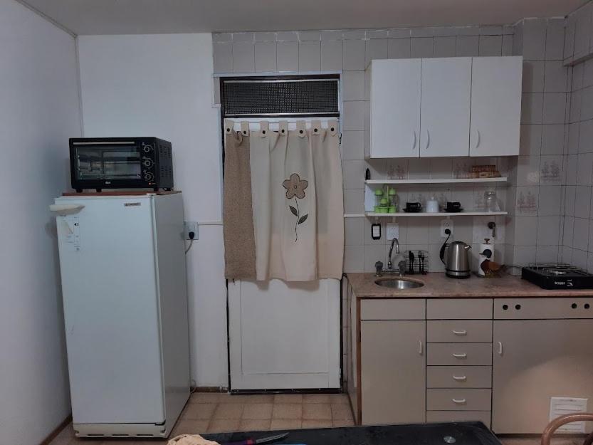 een kleine keuken met een koelkast en een wastafel bij Departamento Garibaldi 239 in Mendoza