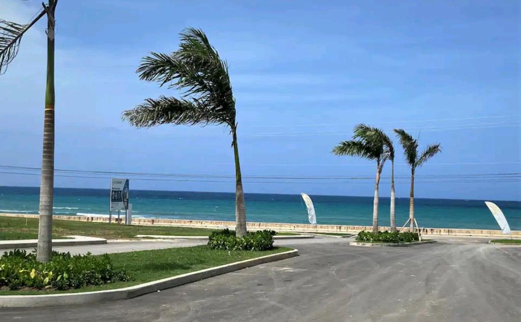 un camino vacío con palmeras y el océano en Scenic Ocean View Home, en Lucea