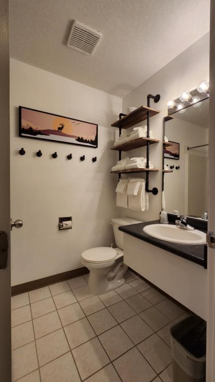 a bathroom with a sink and a toilet and a mirror at Mountain View Inn in Canmore