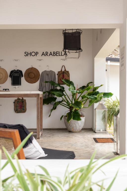 a room with a potted plant on a wall at Arabella on Boossa in Galle