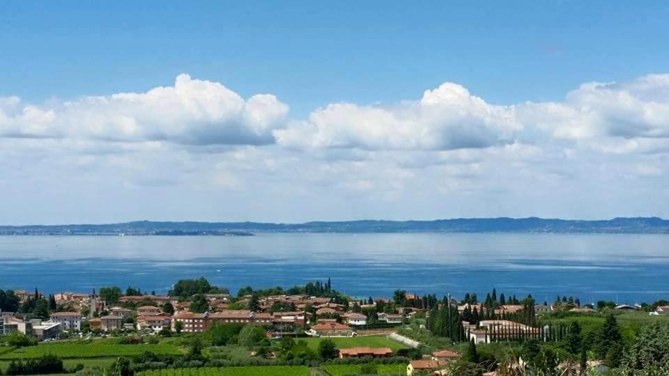 Cà Frisonai