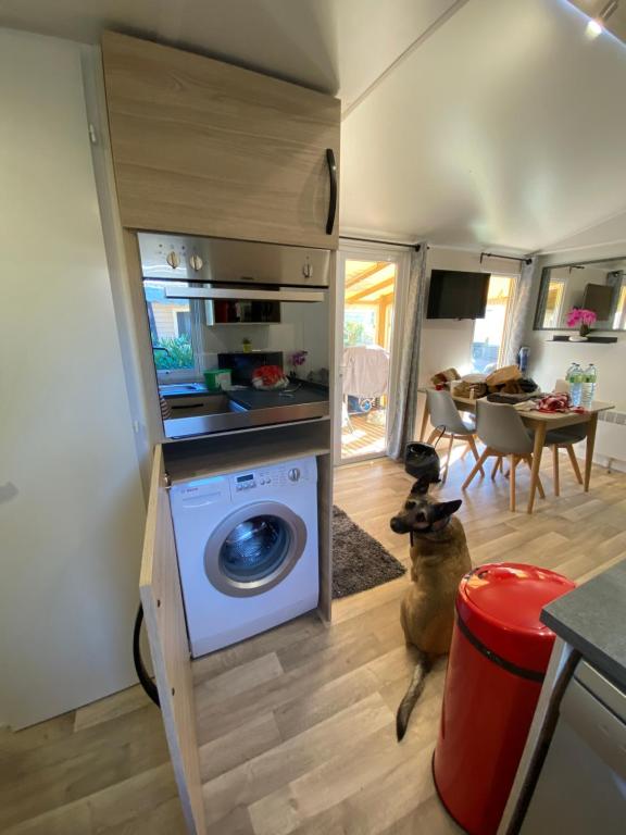 Kuchyň nebo kuchyňský kout v ubytování Mobil home de charme