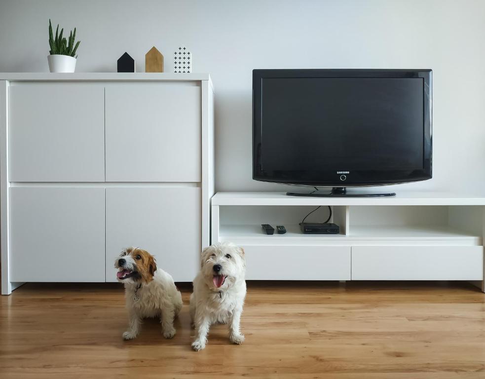 En TV eller et underholdningssystem på Uroczy Apartament Pod Skarpą