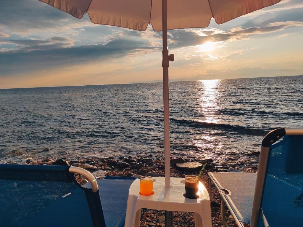 Táj Show holiday homes közelében