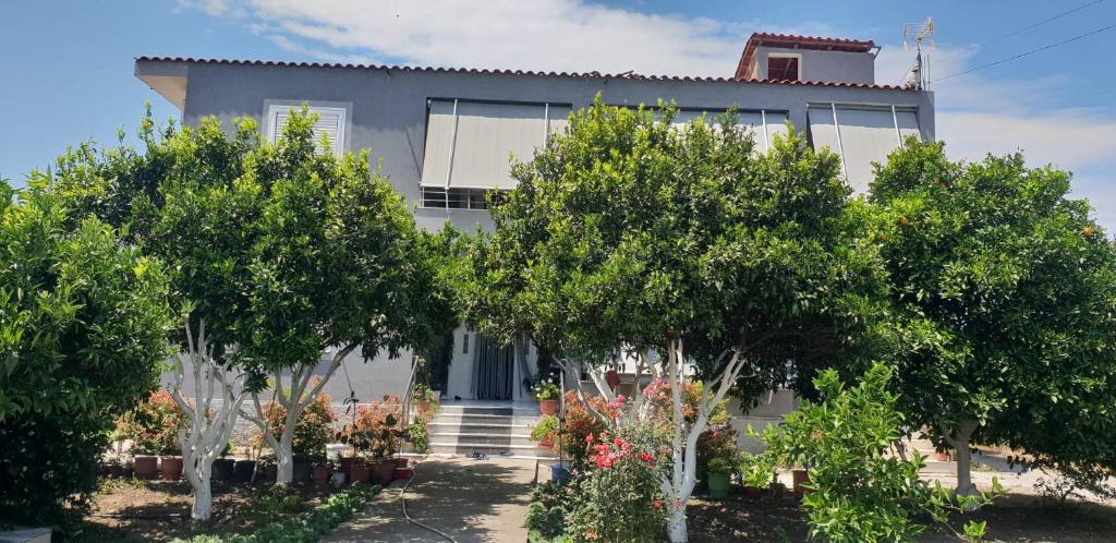 Guesthouse Anila