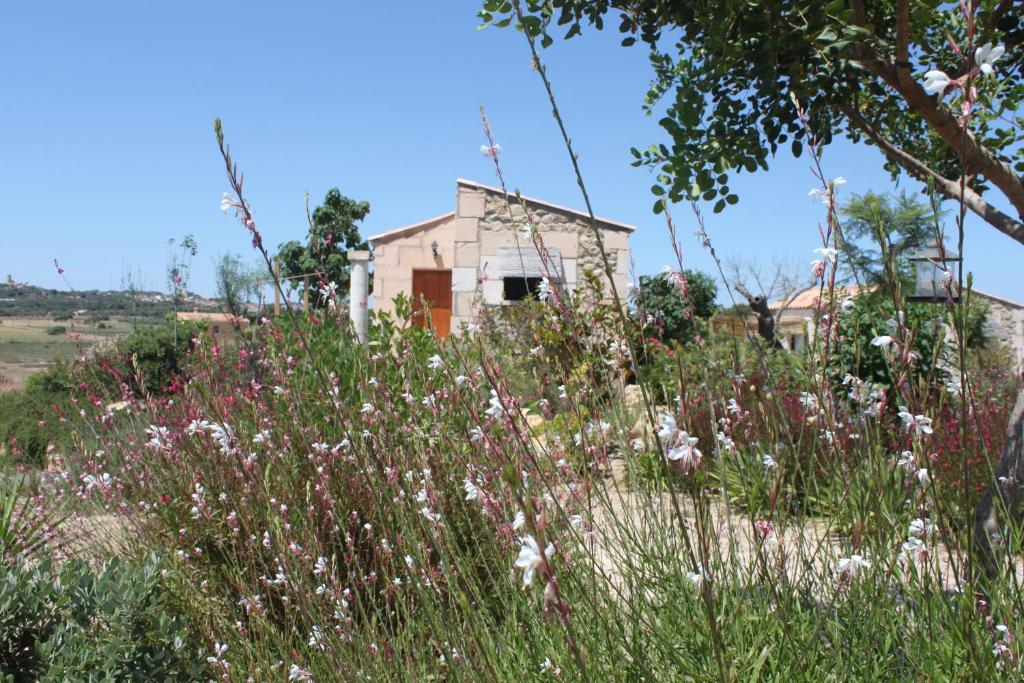 Agroturisme Es Racó De Maria - Family Bungalow