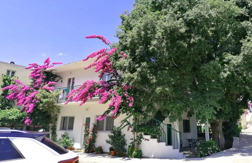 a white house with pink flowers and a tree at Apartments Martin in Drvenik