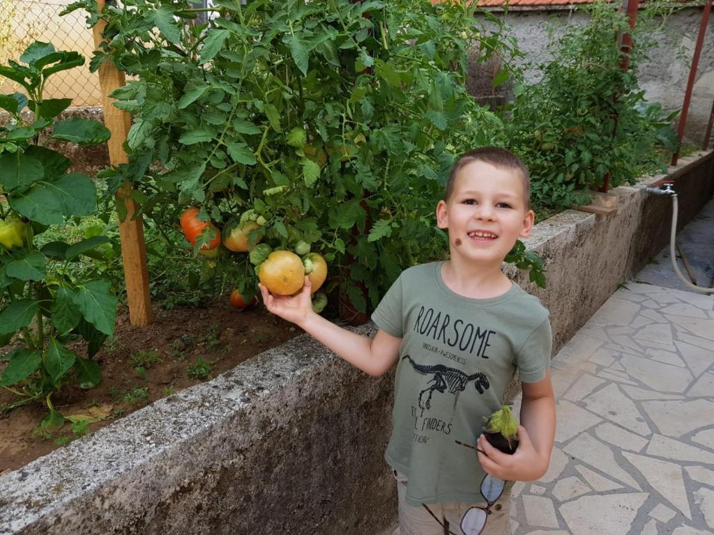 Hostia v ubytovaní Kuća ILIRIA