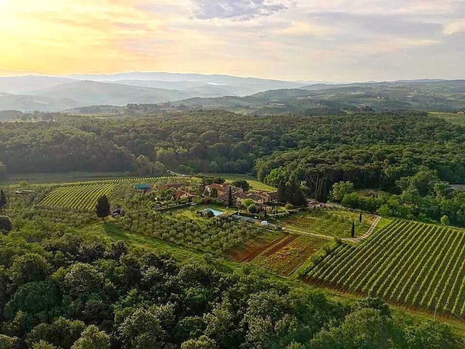 an aerial view of a estate with a vineyard at Podere I Laghi in Tavarnelle in Val di Pesa