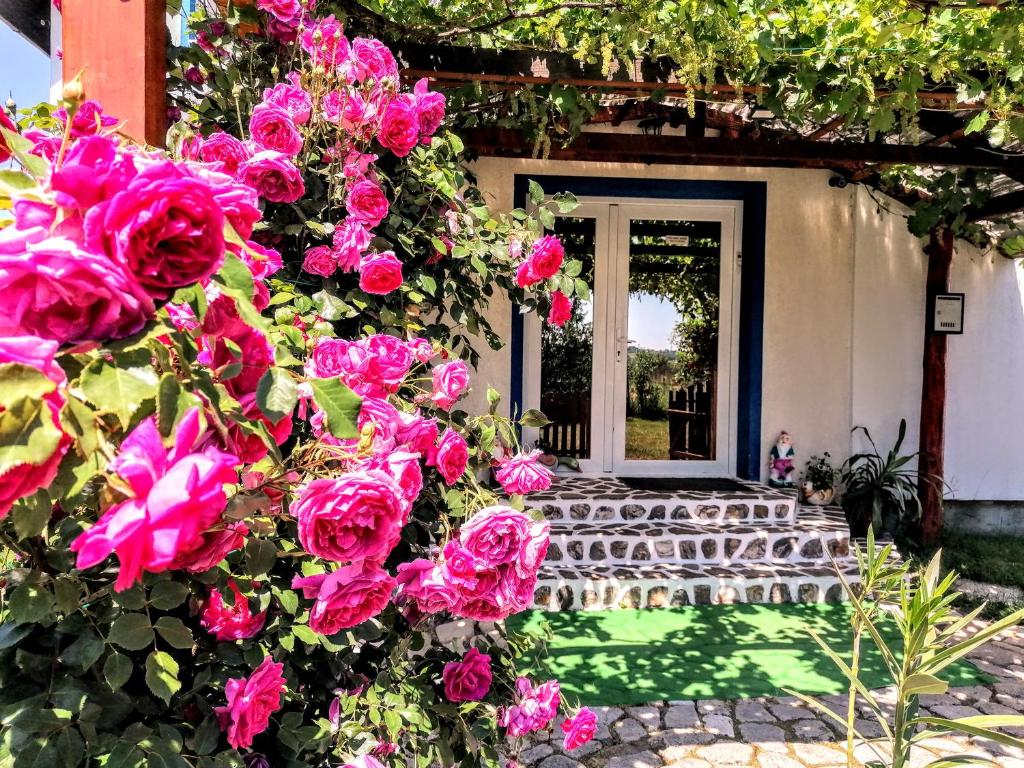 un montón de rosas rosas delante de una casa en Teo Guest Rooms, en Băile Felix
