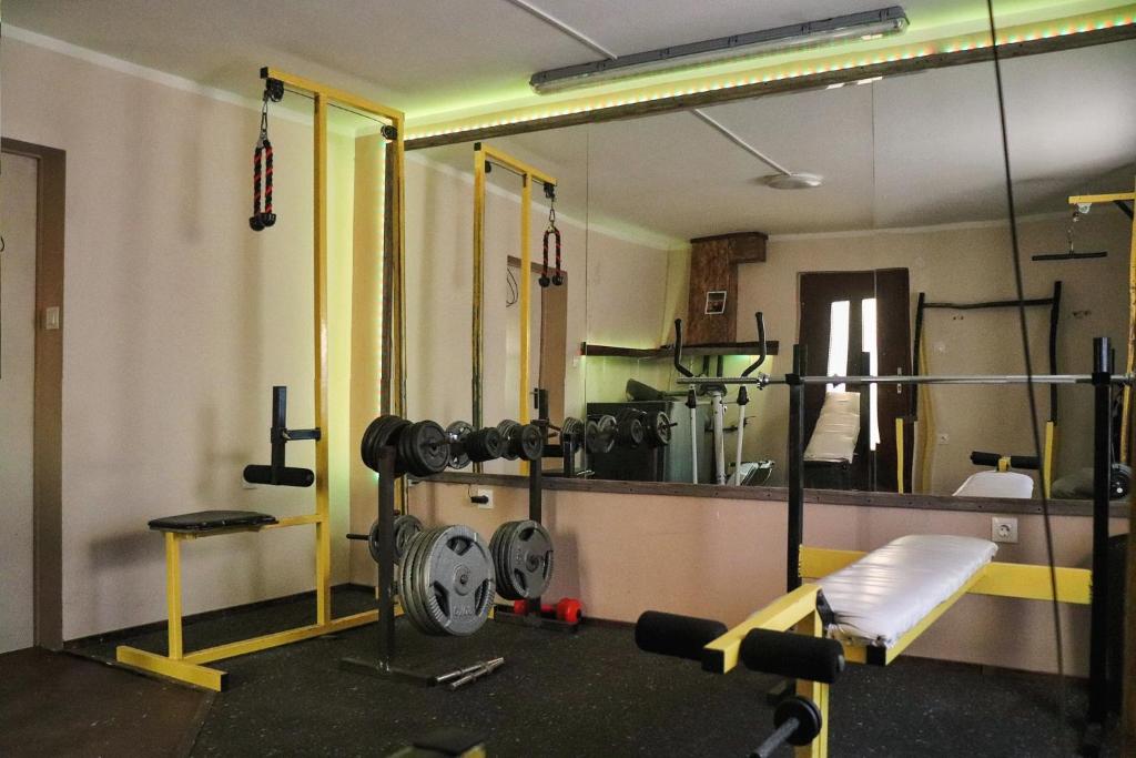 Fitness centrum a/nebo fitness zařízení v ubytování Apartman PP 13