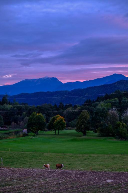 Paesaggio naturale nelle vicinanze dell'appartamento