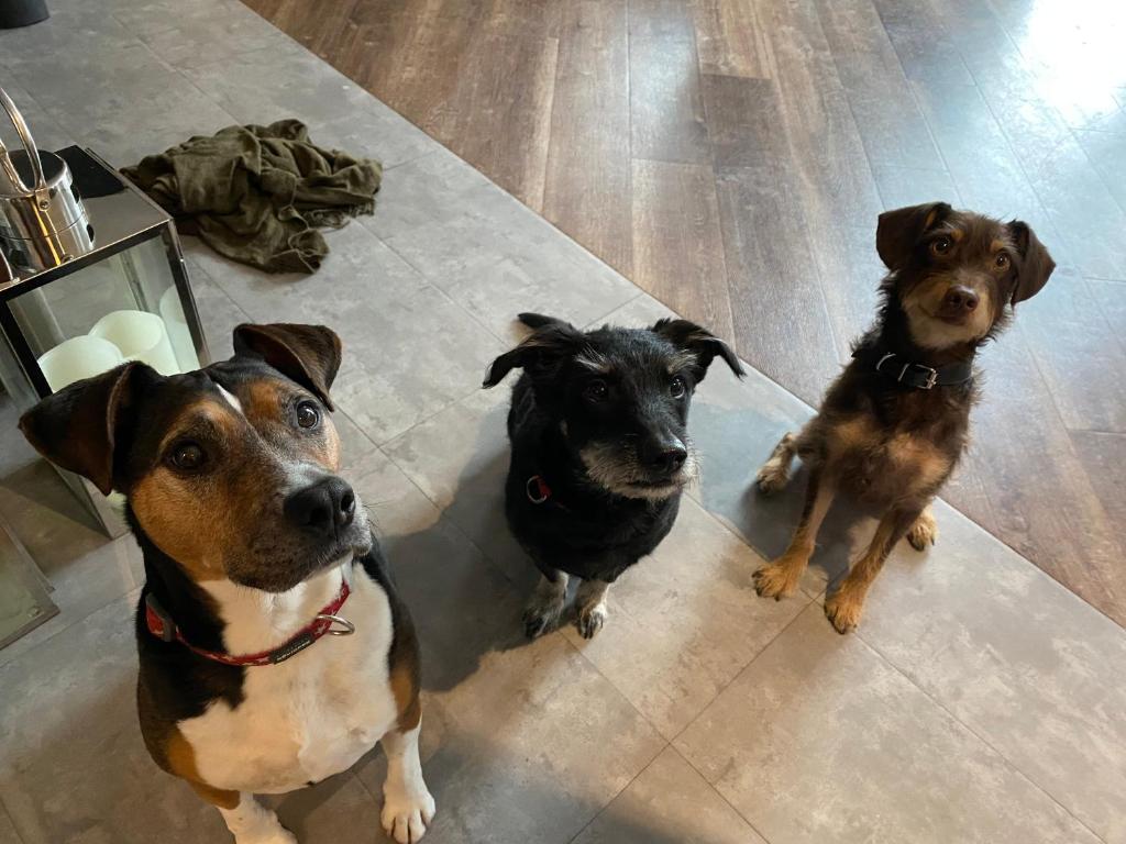 Margaréta Garden & SPA - Resim 30