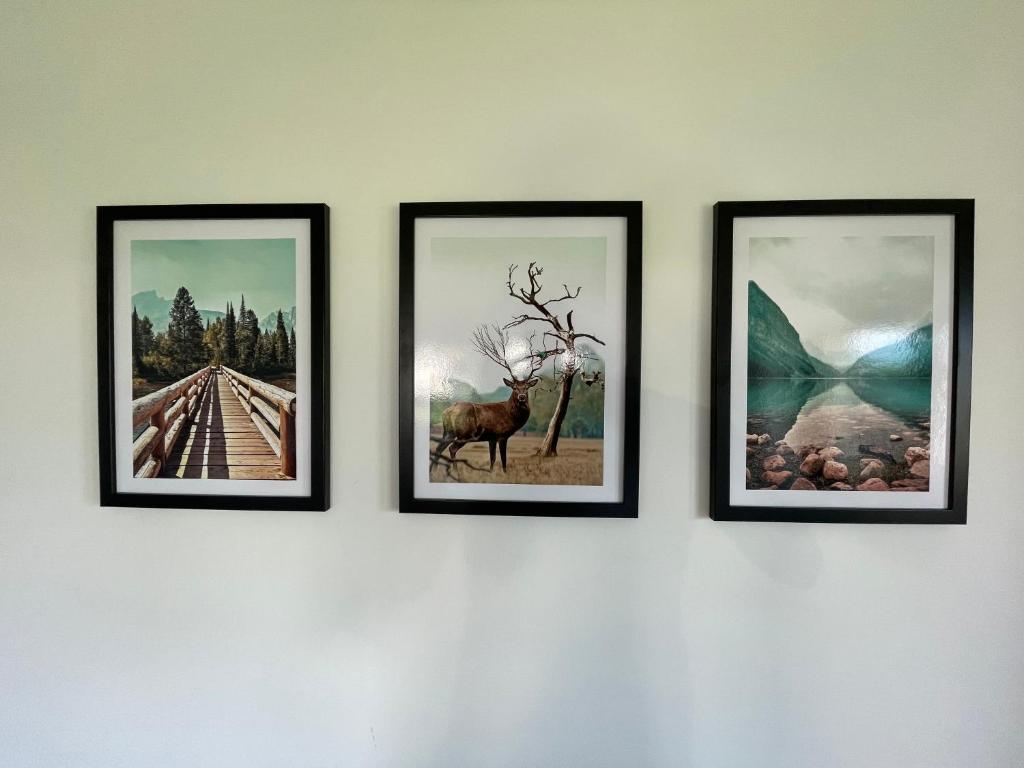 Pokoje Gościnne u Hanki - 17