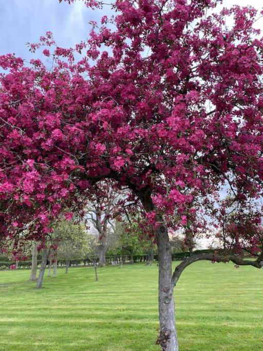South Cottage - Garden, Views, Parking, Dogs, Cheshire, Walks, Family - Casa De Dos Dormitorios