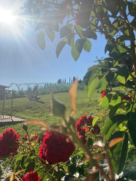 Zahrada ubytování B&B” La Tezza”