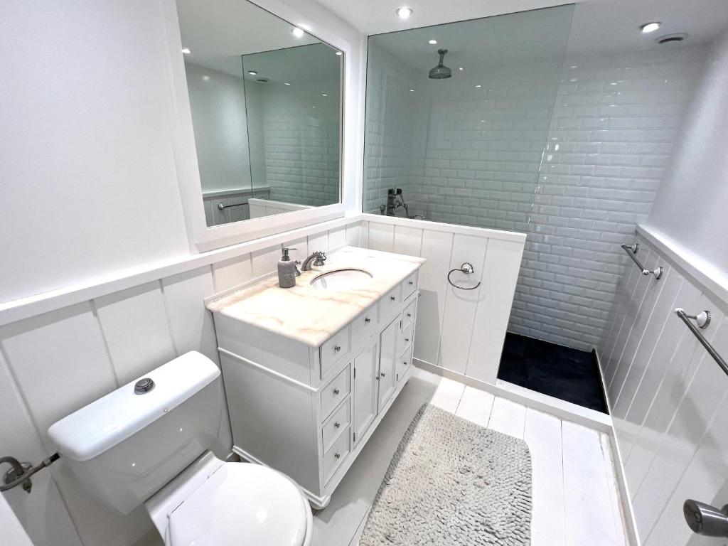 a bathroom with a toilet and a sink and a mirror at Nice 2 bed-rooms villa at Saint Barth in Saint Barthelemy